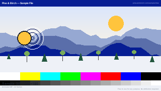Vorschau des GIF-Testbilds
